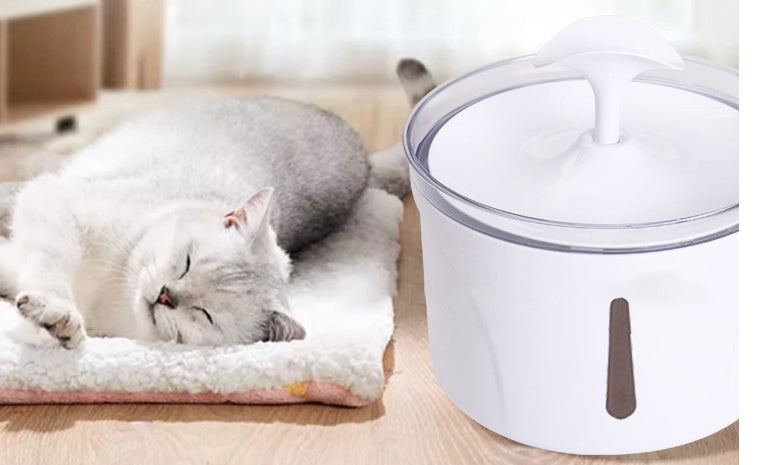 Automatic Pet Water Dispenser