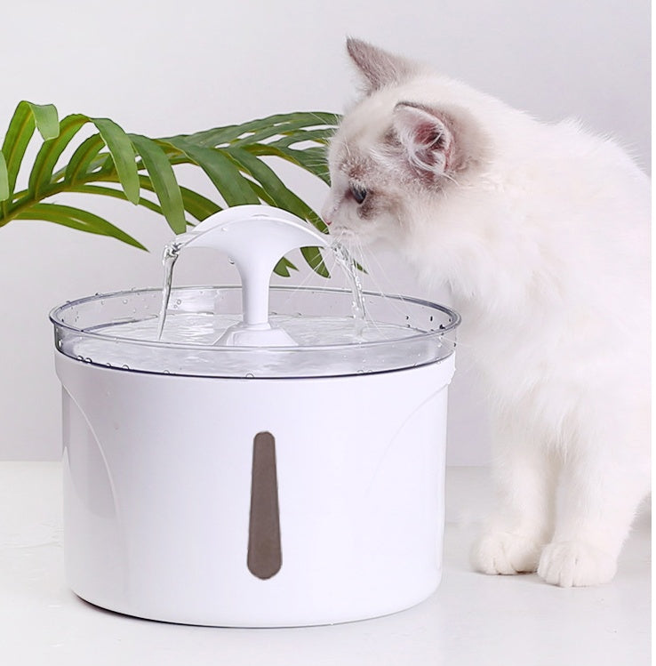 Automatic Pet Water Dispenser