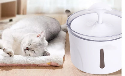 Automatic Pet Water Dispenser